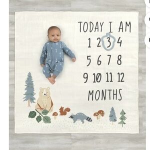 Gerber Milestone Blanket Set